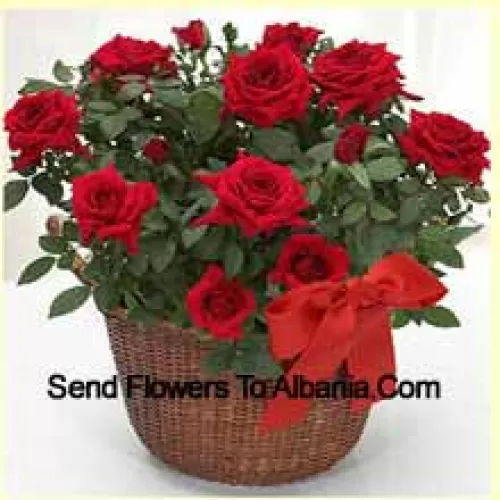 Een prachtige arrangement van 19 rode rozen met seizoensvullers