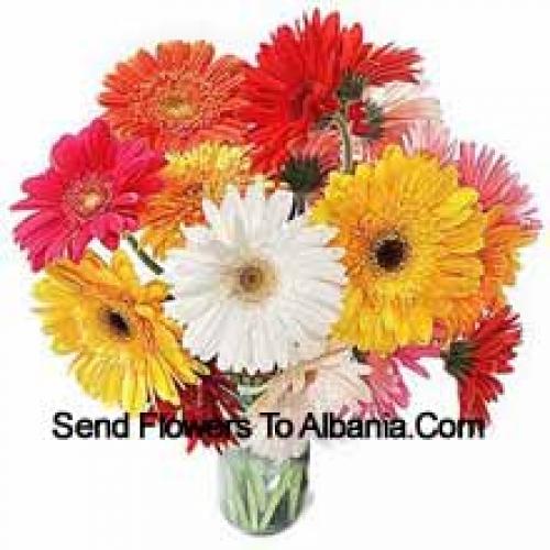 19 Lindas Gerberas Mixtas