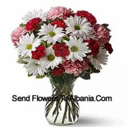 红色康乃馨、粉色康乃馨和白色非洲菊，搭配季节性的插花，在玻璃花瓶中- 25支花和插花