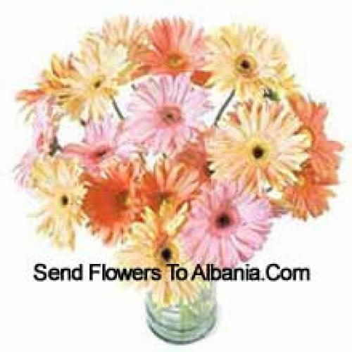 25 Gerberas Variadas Chiques