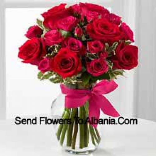 19 Carini Rose Rosse con Fiocco Rosa