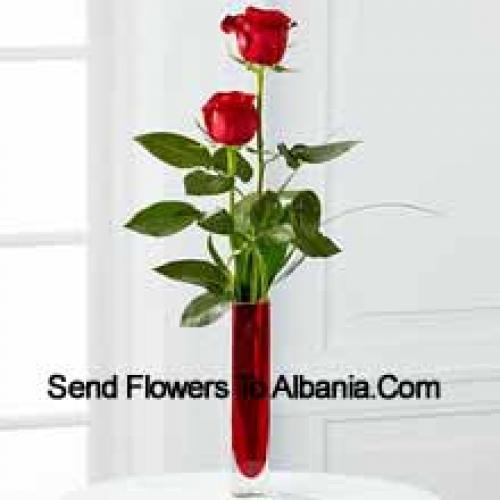 2 Sweet Red Roses in Vase